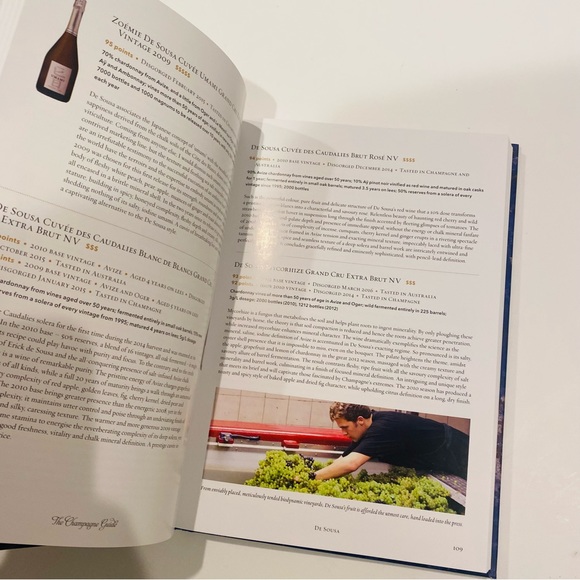 THE CHAMPAGNE GUIDE The Definitive Guide to Champagne 2018-2019 -Tyson Steltzer - Picture 10 of 11